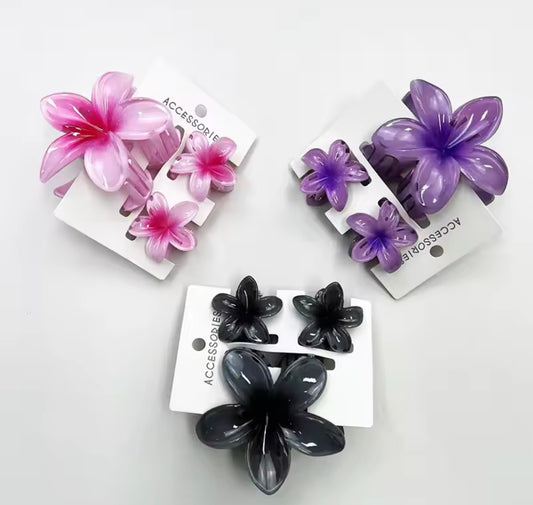 Set de Pinches de Flores